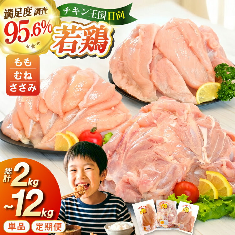 【ふるさと納税】 部位・kg・定期便が選べる 宮崎県産 小分け 若鶏 [エム・ティ・シー 宮崎県 日向市 452061066] 冷凍 鶏 鶏肉 国産 もも肉 モモ肉 むね肉 ムネ肉 ささみ ササミ 個包装 定期便 3回 6回 【日向市は若鶏出荷額5年連続日本一】