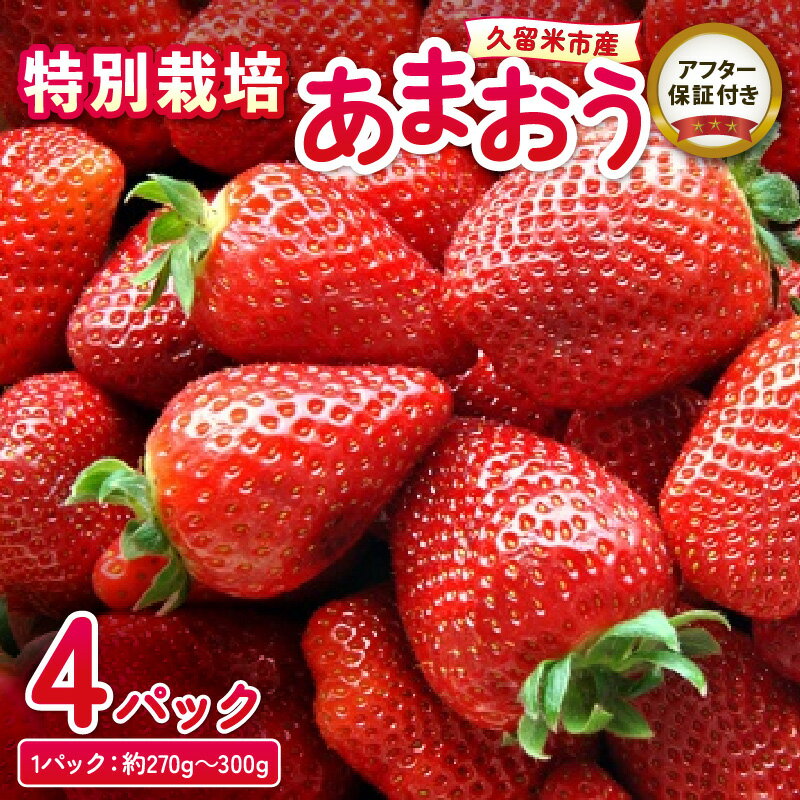 【ふるさと納税】いちご あまおう 約 270g ～ 300g × 4P 大粒 濃厚 甘い 特別栽培 安心 安全 冷蔵 果物 フルーツ ストロベリー アフター保証 スイーツ ケーキ スムージー ジャム デザート 福岡県産 ふくおかエコ農産物 送料無料