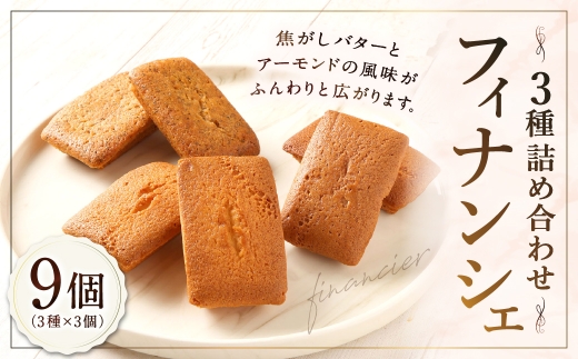 フィナンシェ3種詰め合わせ 9個 焼き菓子 お菓子 菓子 デザート スイーツ フィナンシェ 詰め合せ プレーン ココア 紅茶