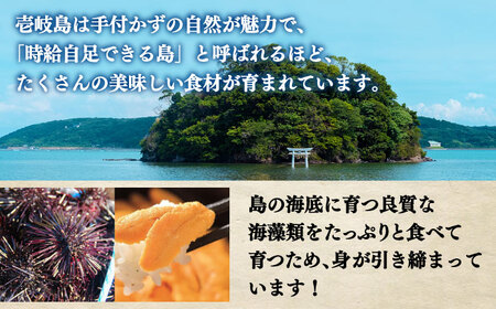【全2回定期便】生うに うにめしの素 セット 《壱岐市》[JZX014] うに セット 