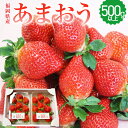 【ふるさと納税】福岡県産 あまおう 2パック 合計約500g以上 いちご 苺 フルーツ 果物 九州産 糸田町産 送料無料 【2024年12月-2025年3月下旬発送】