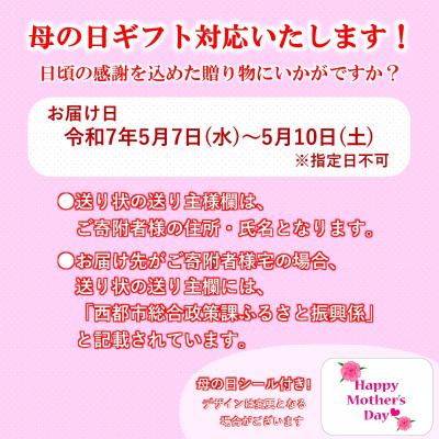 ふるさと納税 西都市 【母の日ギフト】西都市産はちみつ 国産百花蜂蜜「森の蜜もも姫」200g×2[2584] |  | 03