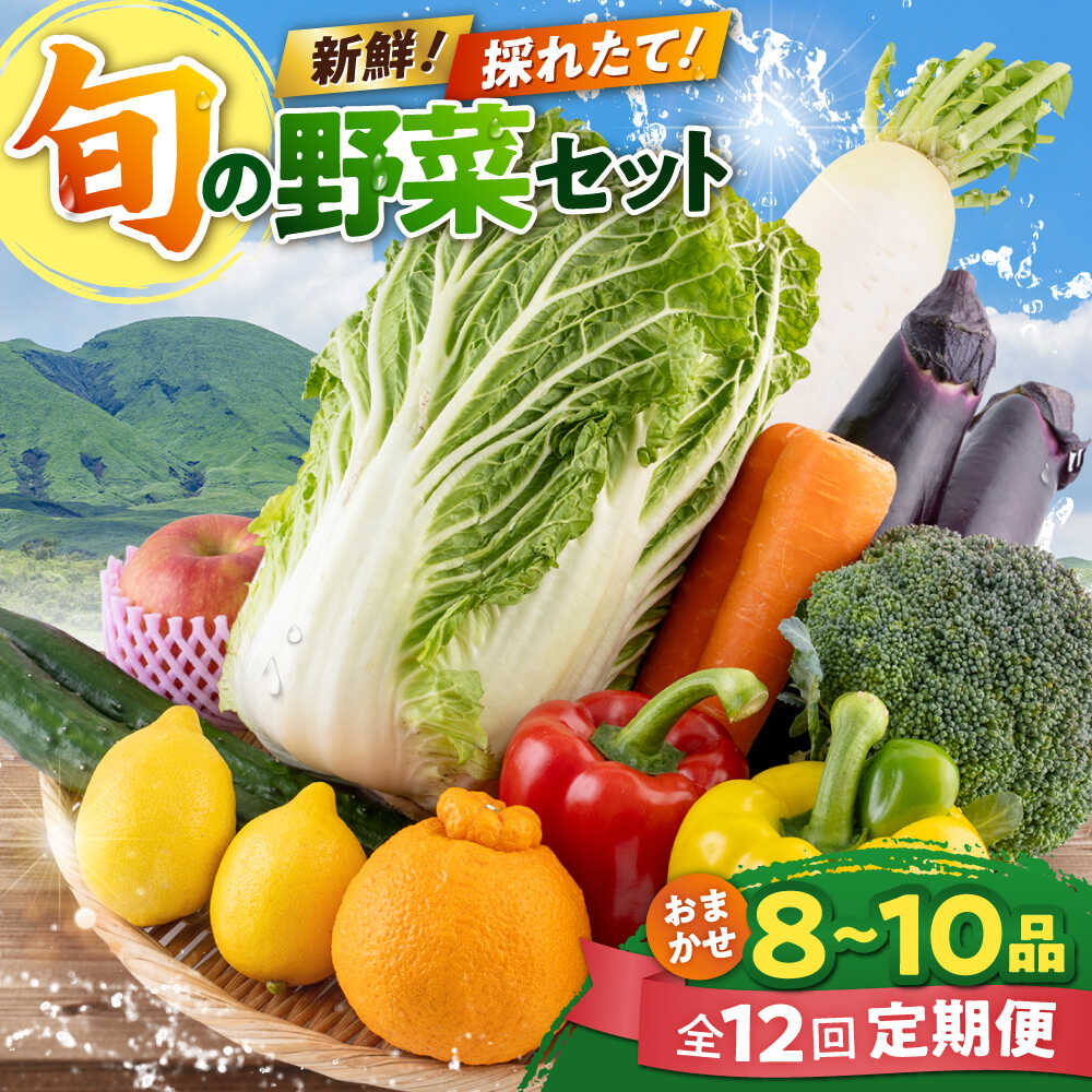 【ふるさと納税】【全12回定期便】旬な野菜おまかせ詰め合わせセット 野菜 野菜セット 詰め合わせ 直送 産地直送 国産 九州産 送料無料 旬 野菜 セット 冷蔵 クール便 熊本産 定期便【合志物産販売 志来菜彩】[AYCA002]
