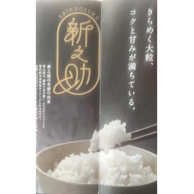 ふるさと納税 柏崎市 【令和7年産】特別栽培米　新潟県柏崎産「新之助」5kg×2袋【五ツ星お米マイスター厳選】白米 |  | 03