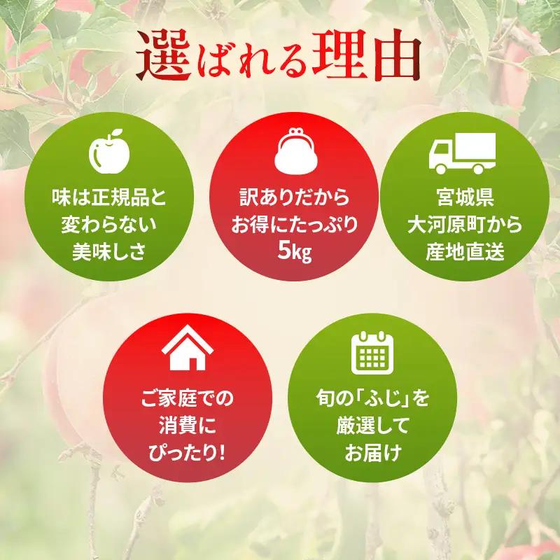 りんご ふじ 訳あり 5kg 果物 フルーツ わけあり 不揃い 規格外 ご家庭用 宮城県 大河原町 産地直送 林檎 リンゴ くだもの 先行予約 送料無料