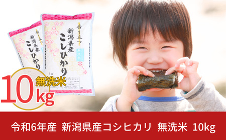 新米 無洗米 新潟県産コシヒカリ 10kg 無洗米 こしひかり 令和6年産 無洗米  [株式会社白熊]【014S021】