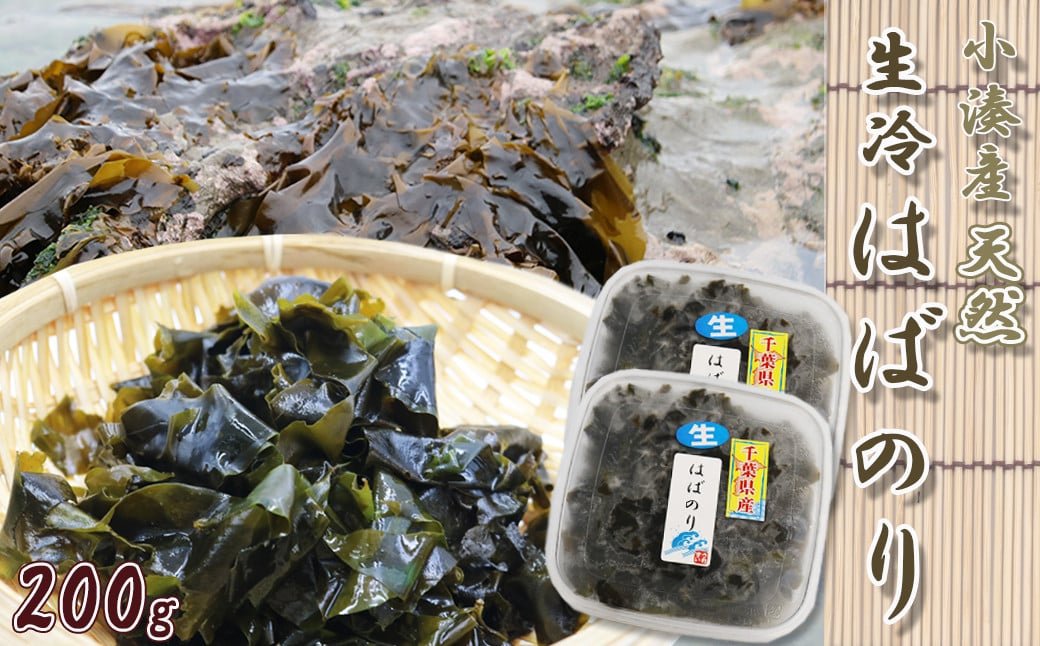 
【極味のひもの特製】房州小湊産 天然『生冷 はばのり』200g《数量限定》　[0010-0284]
