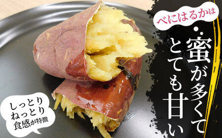 No.533 坂東市産　冷凍焼きいも（紅はるか）1kgと梅ジャムジェラート100g×6個