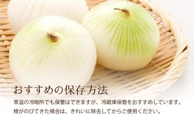 真珠の玉葱 特別栽培 L～L大サイズ 5kg (ルージュ5玉入り) ＜海のミネラルで育てた特別栽培玉葱＞｜玉ねぎ たまねぎ タマネギ 北海道産 岩見沢市【a134-008】【50108】 5kg+ルー