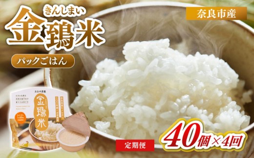 白米 パックごはん 40個×4回 定期便 金鵄米 きんしまい 定期 米 お米 精米 産地直送 農家直送 おむすび おにぎり こめ お弁当 ご飯 ごはん ブランド米 奈良県 奈良市 なら ono06