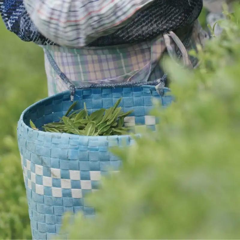 「中井侍銘茶 product by MAKIBITO」6本