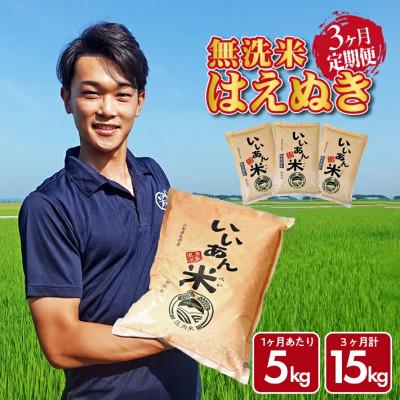 ふるさと納税 酒田市 【毎月定期便】「いいあん米」はえぬき無洗米5kg全3回