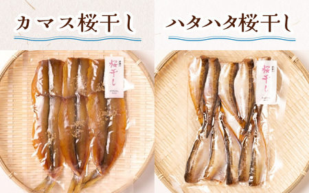 【焼くだけの簡単調理】青魚の干物5品セット | 海鮮 干物 長持ち