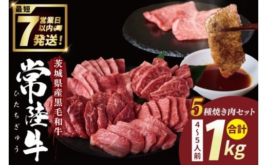 
                  常陸牛5種焼肉セット希少部位入り（４~５人前１kg)【常陸牛 国産牛 和牛 牛肉 切り落とし 焼肉セット 希少部位   茨城県 水戸市】（NW-13）
                
