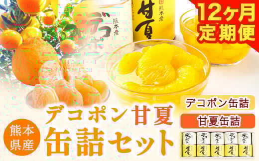 【12ヶ月定期便】デコポン・甘夏缶詰セット計10缶入り 熊本県 葦北郡 津奈木町 あしきた農業協同組合 JAあしきた《お申込み月の翌月より出荷開始》柑橘 デコポン 甘夏 あまなつ フルーツ 果物 缶詰 セット 送料無料 合計120個お届け