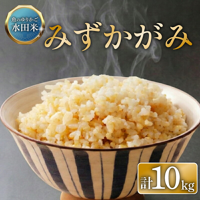 【ふるさと納税】 令和7年産 環境こだわり栽培 みずかがみ 玄米 10kg 滋賀県認証 魚のゆりかご水田米 10 令和7年 7年 10月 順次発送 滋賀 彦根