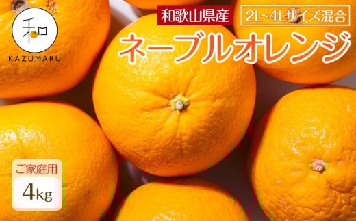 家庭用 森本農園の手選別 大玉ネーブルオレンジ 約4kg 和歌山県産 2L~4Lサイズ混合 ［北海道・沖縄・離島配送不可］［2026年1月上旬から順次発送］［RN105］