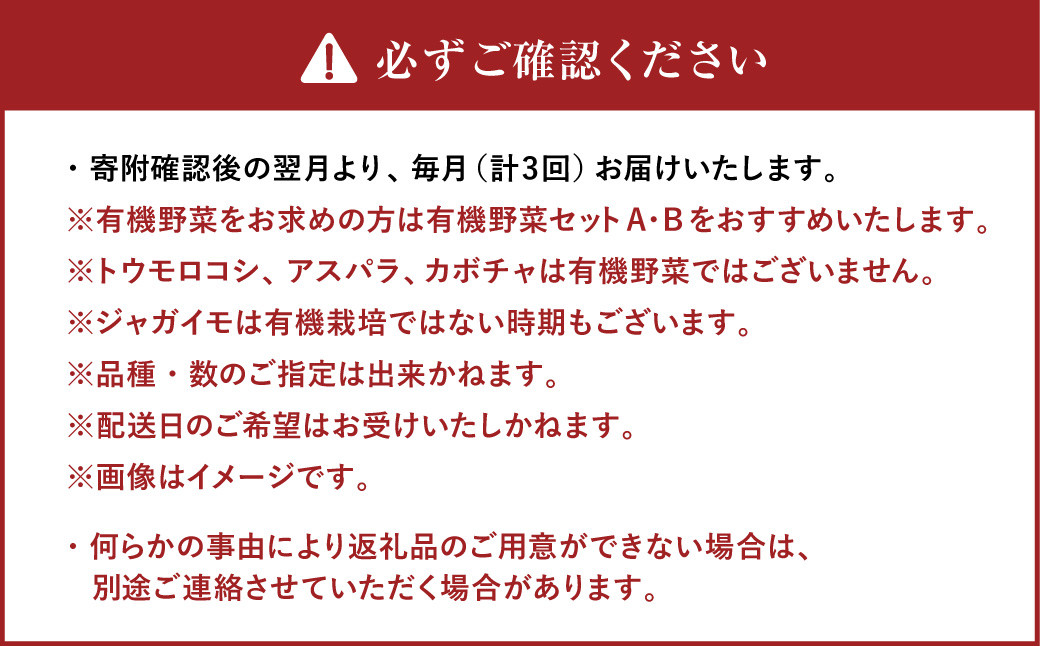 【3ヶ月定期便】おまかせ旬野菜セット