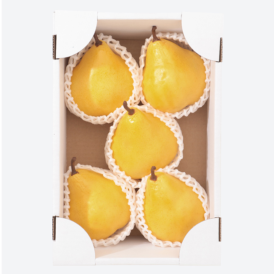 長谷川さんのこだわりルレクチェ（5～7玉/2kg）