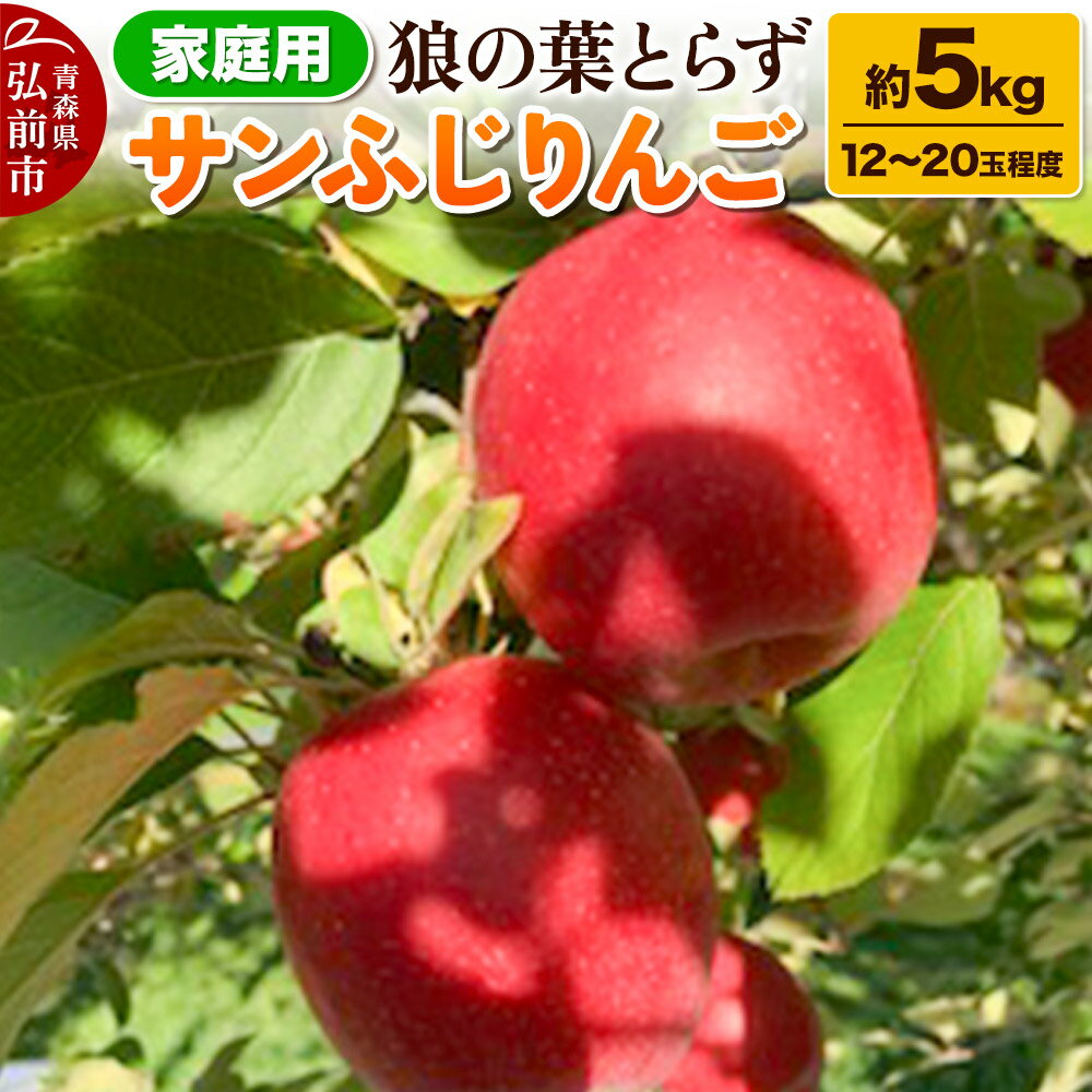 【ふるさと納税】りんご サンふじりんご 狼の葉とらず 約5kg（12玉〜20玉程度）家庭用【訳あり】