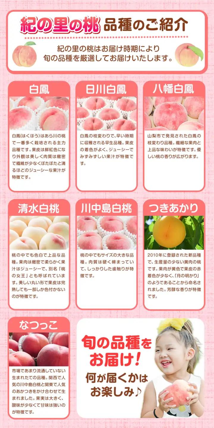 桃 紀の里の桃 約2kg