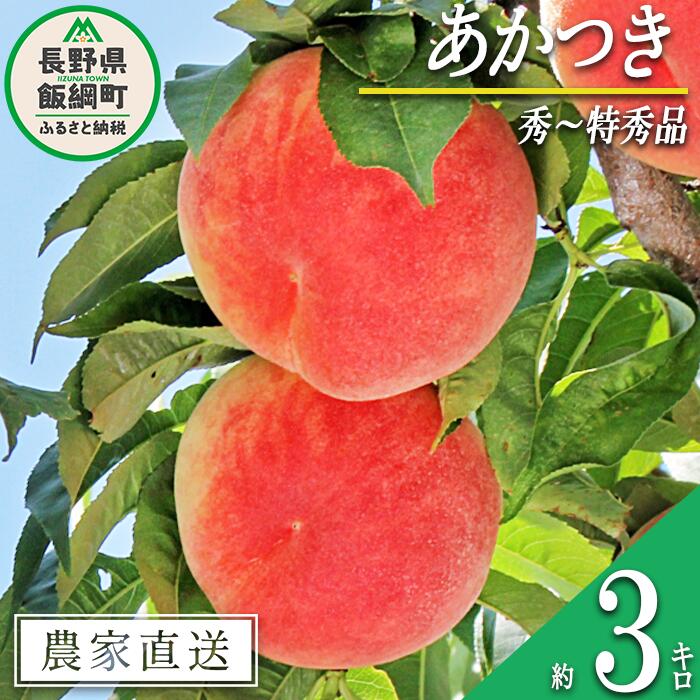 【ふるさと納税】 もも あかつき 秀 〜 特秀 約 3kg 大垣農園 配送先は本州限定 令和7年度収穫分 長野県 飯綱町 〔 信州 果物 フルーツ モモ 桃 長野 17000円 予約 農家直送 〕発送時期：2025年8月上旬〜2025年8月中旬