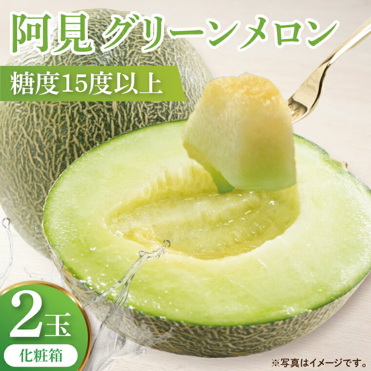 【ふるさと納税】【6月中旬から6月末までの発送】阿見グリーンメロン 2玉入り 特大(化粧箱)【糖度15度以上 甘い ミネラル豊富】(84-05)