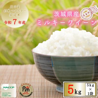 ふるさと納税 牛久市 令和7年産　茨城県産ミルキークイーン　精米　5kg(5kg×1袋)