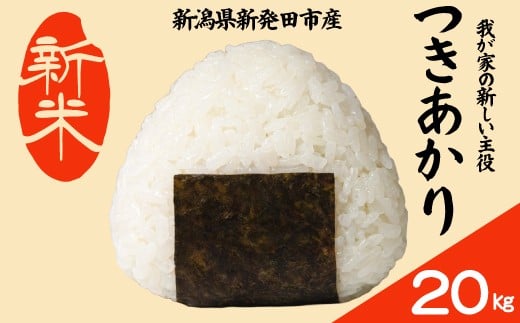 【先行予約】 令和7年産 つきあかり 20kg コシヒカリ こしひかり 同等以上の食味 ご飯 備蓄 コメ お米 米 こめ しんまい 新潟産 新潟米 新潟県 新潟 新発田 新発田市 国産 新発田市産 斗伸 toushin038