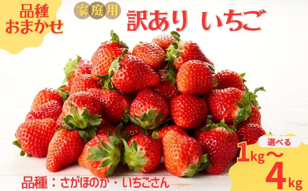 
                  ★予約受付★平川いちご農園【2026年1月～5月 順次配送】【内容量選べる】玄海町産いちご（家庭用・訳あり）1kg ～ 4kg ／ 送料無料 いちご さがほのか いちごさん 希少 果物 くだもの フルーツ デザート 予約受付
                