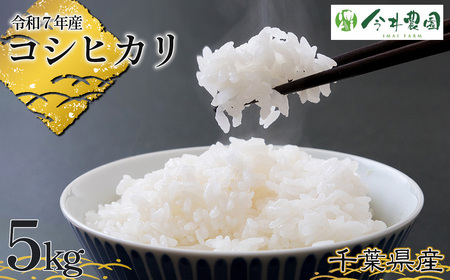 【令和7年産】千葉県産コシヒカリ（精米）5kg ／ 米 こめ ご飯 こしひかり 甘み 粘り 香り 冷めても美味しいお米 千葉県
