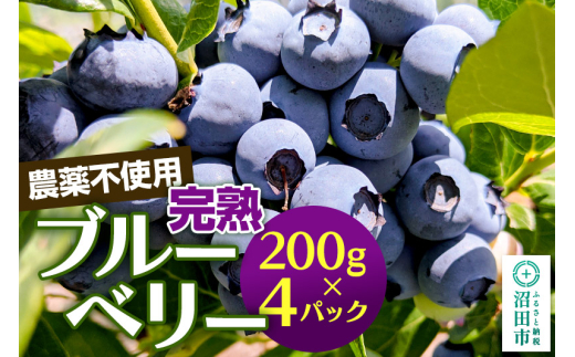 《7月上旬～下旬発送》完全無農薬栽培 完熟ブルーベリー 200g×4パック