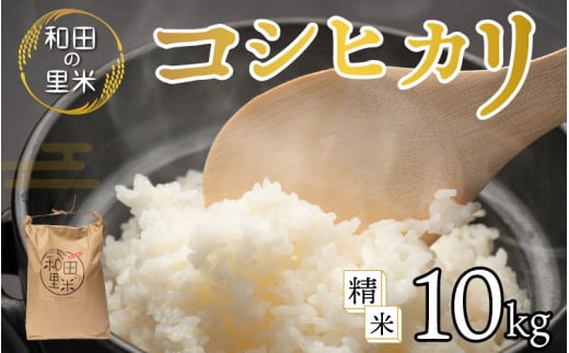 【令和7年産】和田の里米 コシヒカリ 白米 10kg　ふるさと納税 米 10kg 福井県 高浜町 お米 発祥の地 こめ おこめ 白米 精米 国産 ごはん ご飯 白飯 ゴハン あまみ ふるさと ランキング 人気 おすすめ 送料無料 産地直送 農家直送 福井県産 国産米