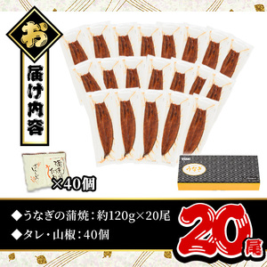無投薬！鹿児島県産うなぎ蒲焼セット＜定番＞(計2.4kg以上・ 約120g×20尾) タレ・山椒付き 鰻 ウナギ 国産【西日本養鰻】D52