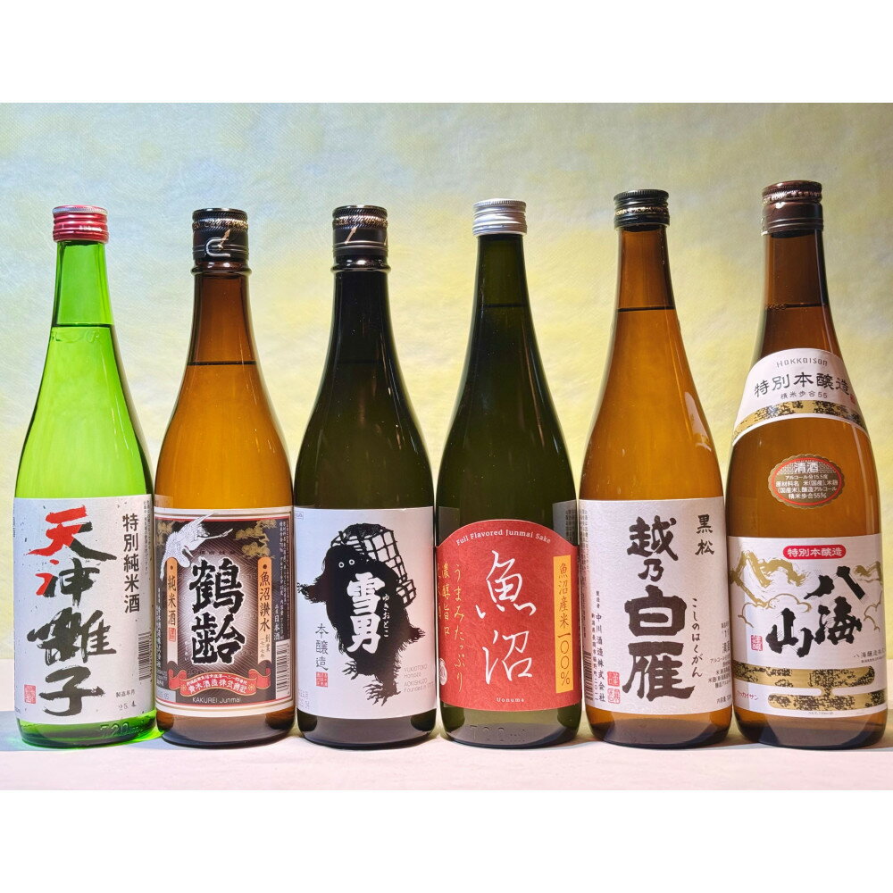 【ふるさと納税】心も温まる雪国越後のお燗酒(720ml×6本)