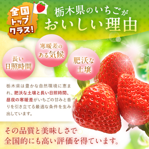【先行予約】苺 栃木県共通返礼品 JAうつのみや直送！ スカイベリー 280g×4パック | 2026年1月～発送 いちご 甘い 美味しい 果物 フルーツ デザート 栃木県 下野市 送料無料