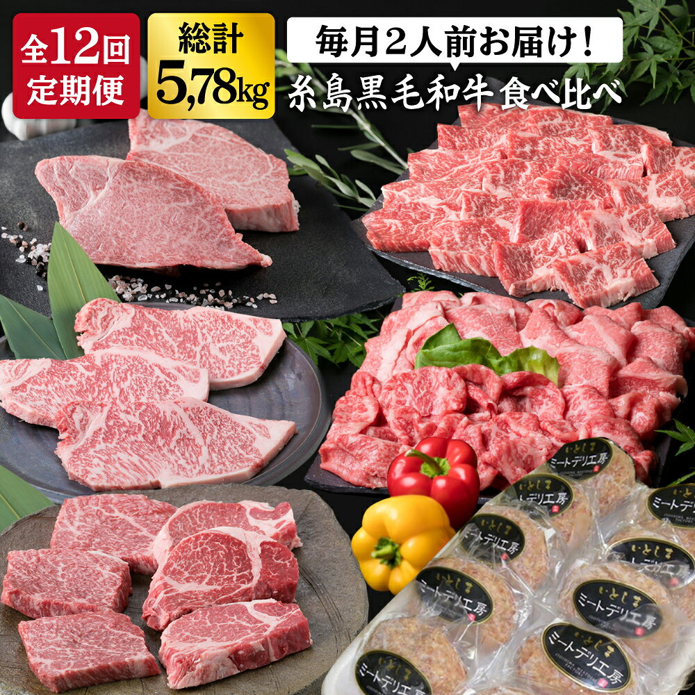 【ふるさと納税】【全12回 定期便 】 糸島 黒毛和牛 食べ比べ 合計5.78kg ヒレ ランプ カルビ バラ サーロイン シャトーブリアン モモ ハンバーグ 【糸島ミートデリ工房】 [ACA111] 黒毛和牛 冷凍配送20万円280000円