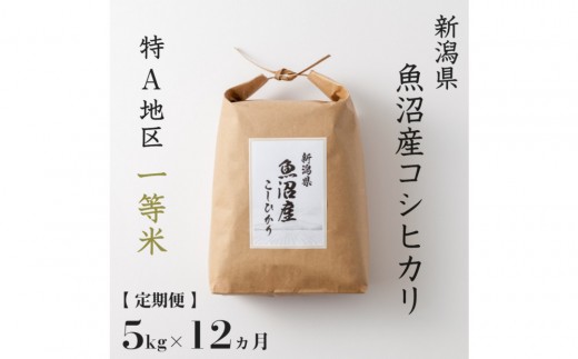
                  【 定期便 】 5kg × 12ヶ月 特A 一等米 魚沼産 コシヒカリ　令和7年産　慣行栽培　新潟　新潟県　こしひかり　魚沼　特A地区　5キロ　頒布会
                