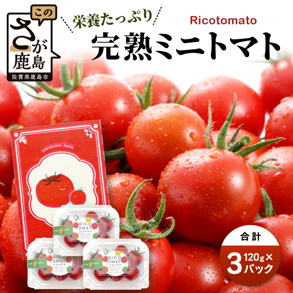 【ふるさと納税】カラフルミニトマト 6種 少量パック 360g (120g×3) 定期便 1～4回 たにぐちファーム | トマト プチトマト 野菜 やさい 定期 JGAP認証 佐賀県 特別栽培農産物 有機物100％の土づくり 農家直送 フルーツトマト ギフト ふるさと 人気 佐賀県 鹿島市 A-211