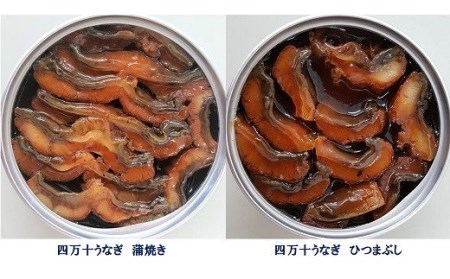 四万十うなぎ缶詰／詰合せ2缶セット（蒲焼、ひつまぶし：山椒付き） ［1295］