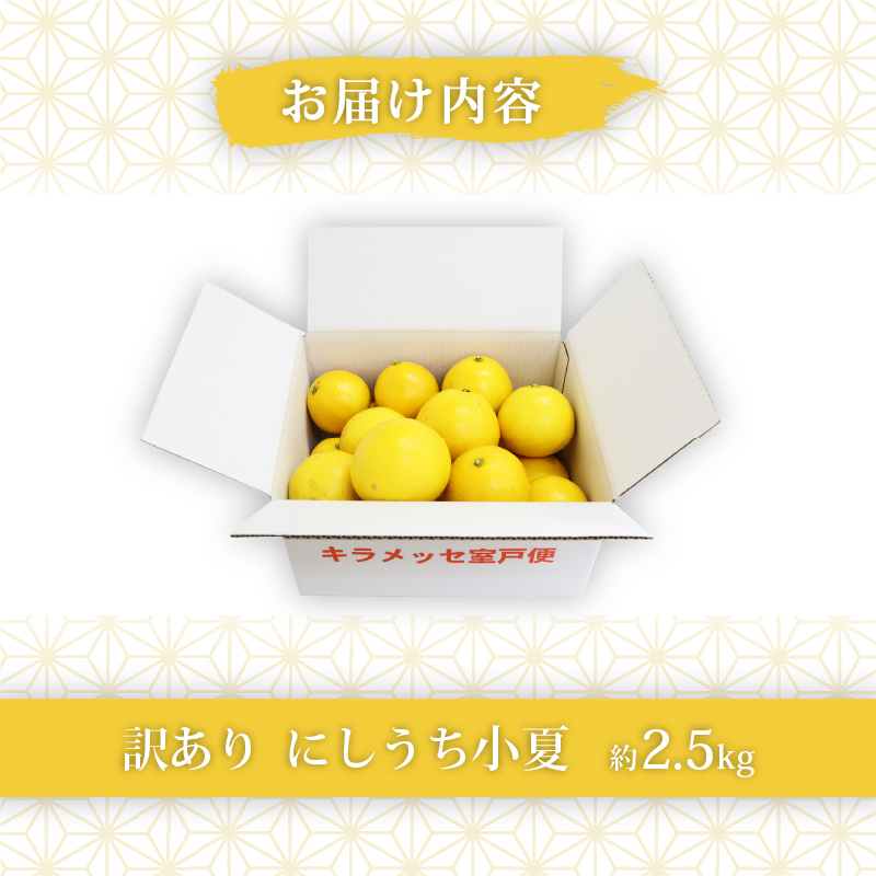 訳あり 小夏 2.5kg 柑橘 フルーツ 果物 期間限定 旬の果物 ご家庭用 生産者 農家 直送 5000 円 高知県 室戸市