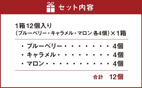 美冬12個入 (ブルーベリー、キャラメル、マロン) 美冬 ミルフィーユ パイ チョコ お菓子 おやつ 北海道 北広島市