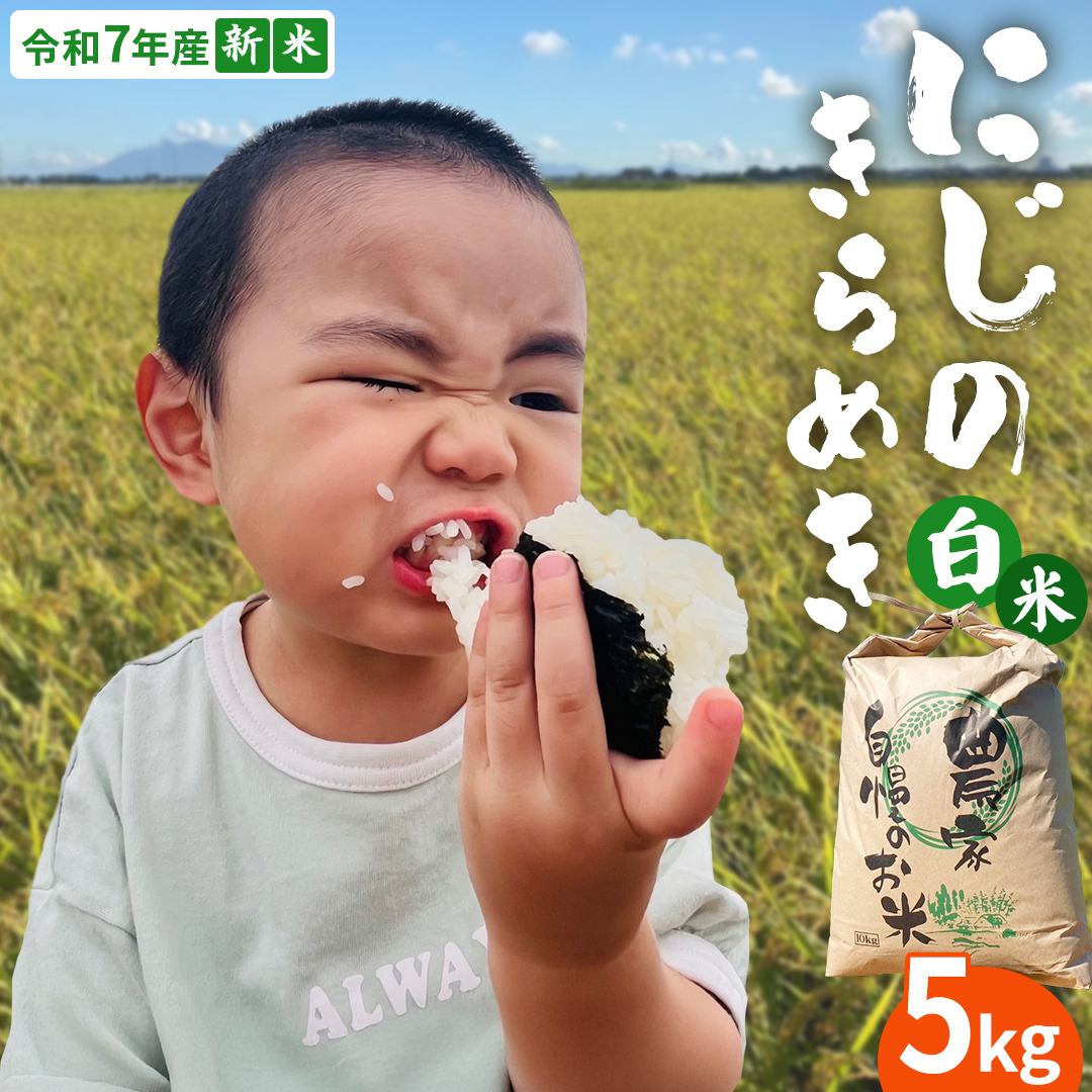 【 先行予約 】＜ 新米 ＞ 令和7年産 茨城県産 白米 にじのきらめき 5kg 【2025年9月下旬より発送開始】 国産 茨城産 茨城県産米 つくばみらい市 精米 お米 こめ おこめ ごはん ご飯 白飯 ゴハン 生活応援 ふるさと おすすめ ツヤツヤ もっちり ふっくら 甘み 柔らかい 大粒 粘り 美味しい おいしい おむすび お弁当 和食 お取り寄せ 防災 備蓄 [DD100-NT]
