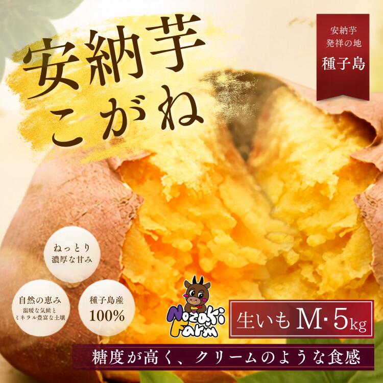 【ふるさと納税】【 先行予約 】 種子島 野崎ファーム 安納いも ( こがね ) Mサイズ 5kg ふるさと納税 さつまいも 生芋 ふるさと納税 焼き芋 ホクホク ねっとり 蜜が出るほど 甘い 安納芋 芋 ふるさと 人気 ランキング