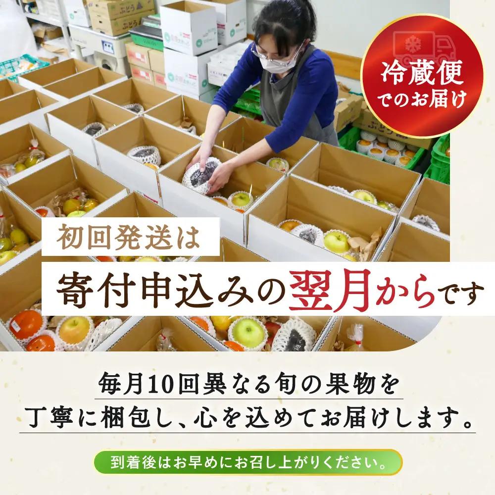 【定期便10回Sサイズ】 フルーツ セット ( 約3 ～ 5品 × 10ヶ月 ) ｜フルーツ