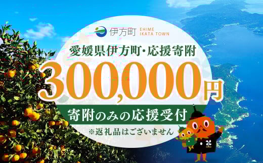 【返礼品なし】愛媛県伊方町・応援寄附300,000円（寄附のみの応援受付 ※返礼品はございません） 【ふるさと納税 人気 おすすめ ランキング 応援寄附 返礼品なし 愛媛県 伊方町 送料無料】 IKTBG007