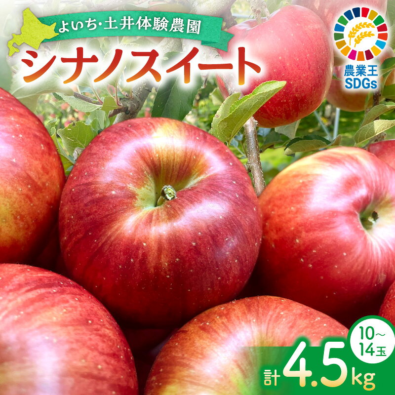 【ふるさと納税】【先行予約：2026年11月上旬以降発送】爽やかな甘み！余市産りんご シナノスイート 4.5kg ジューシー 酸味控えめ 完熟りんご 低農薬りんご 秋の味覚 土井体験農園 ジューシーりんご シャキシャキ食感 甘いりんご 余市特産 北海道 余市町 送料無料