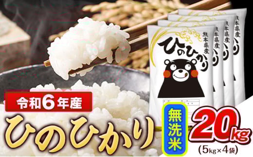 令和6年産 無洗米 ひのひかり 20kg《7-14日以内に出荷予定(土日祝除く)予定》令和6年産 熊本県産 ふるさと納税 無洗米 精米 ひの 米 こめ ふるさとのうぜい ヒノヒカリ コメ お米 おこめ