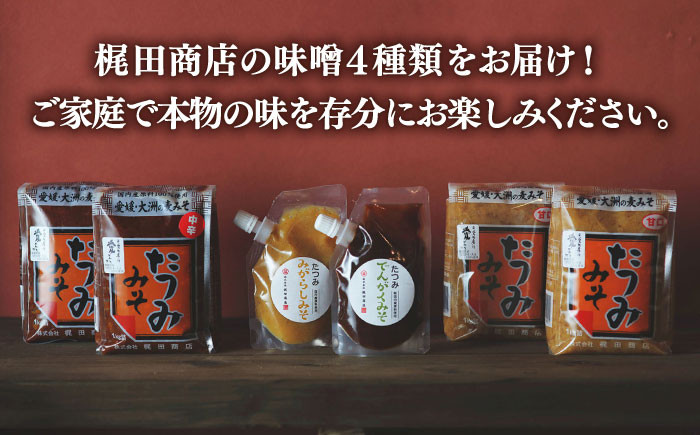 本物の味を毎日の食卓へ！たつみ 麦みそ４種食べ比べセット