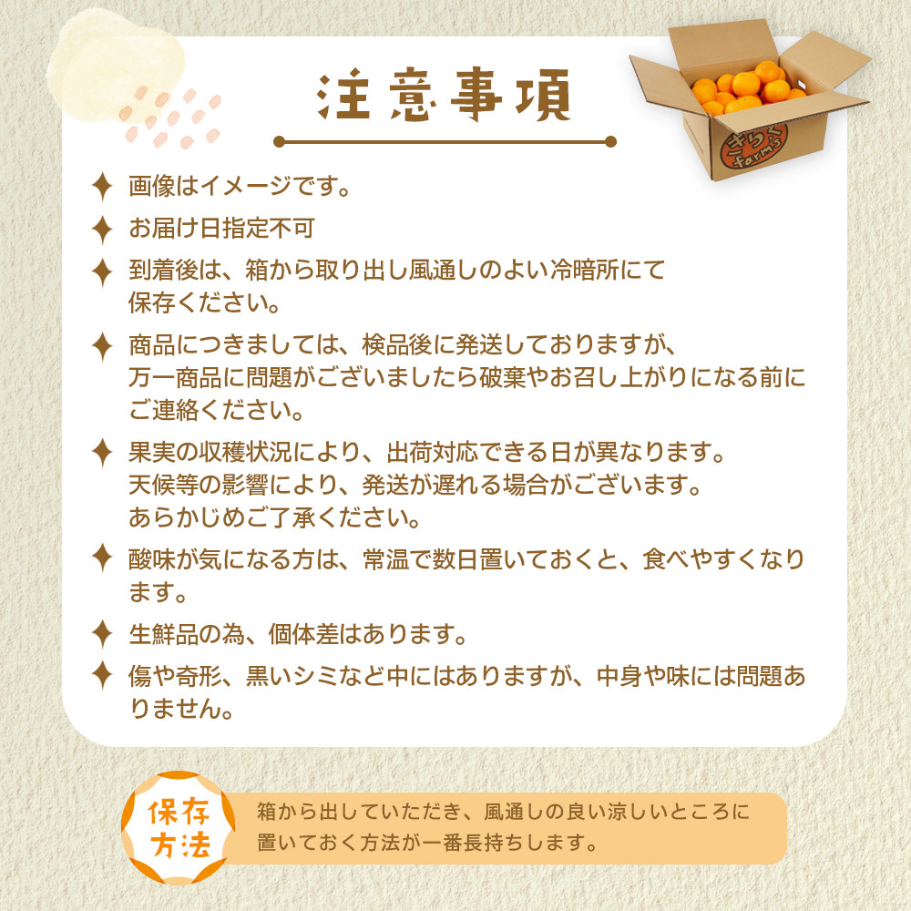 産地直送 有田みかん サイズ 不揃い 約3kg 喜楽farms 【2025年11月以降順次発送】  	AL18_イメージ5